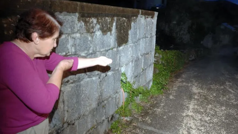 Pucao u lisicu pa upucao susjede