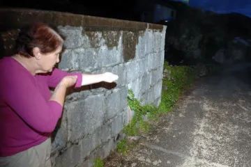 Pucao u lisicu pa upucao susjede