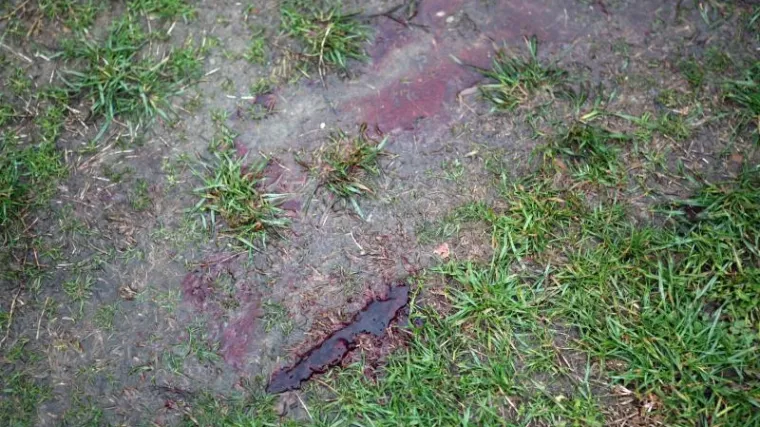 Dalj: Žena muža izbola nožem