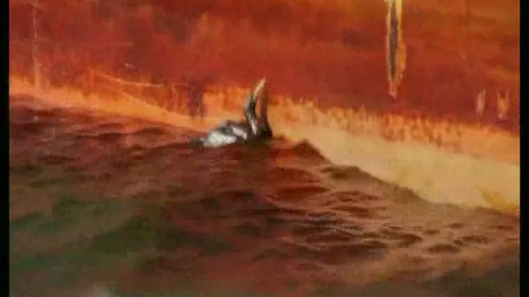 Kosom i gumama protiv naftne mrlje