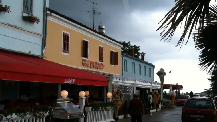 Pijavica kod Vrsara i Rovinja