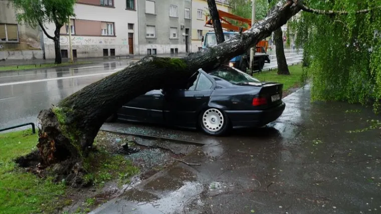 Stablo u Osijeku smrskalo BMW