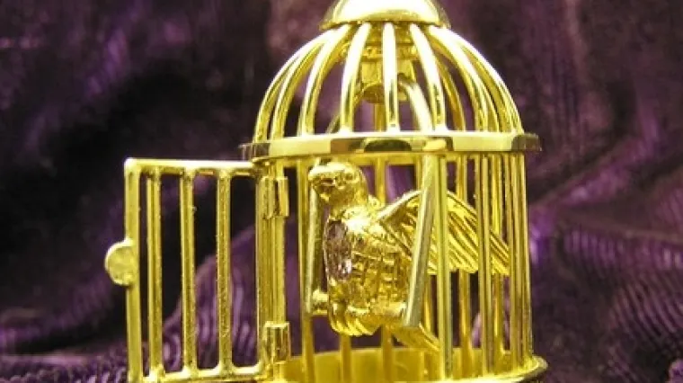 Top lista najbogatijih zatvorenika