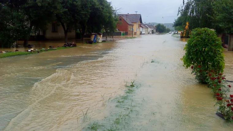 Cijela Slavonija kao Kopački rit