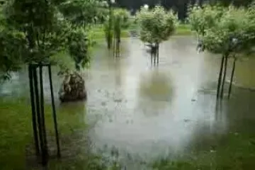 Sirač: Park branitelja sav pod vodom