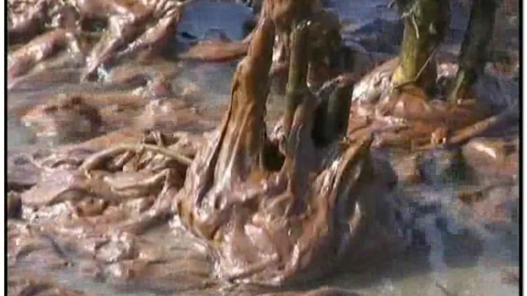 Ljepljiva smjesa će stizati do jeseni