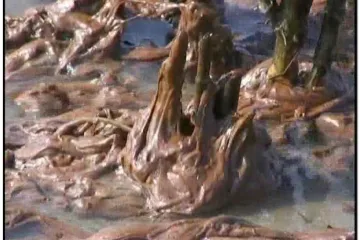 Borba s naftom će trajati do jeseni