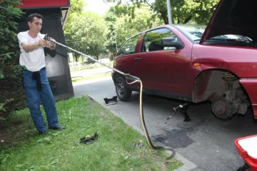 Zmijurina usred Zagreba