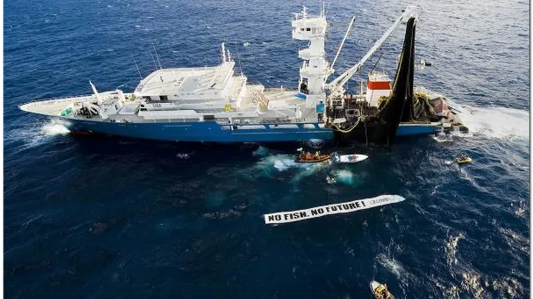 Tunolovac raketirao pripadnike Greenpeacea