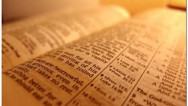 Ugu&scaron;ila dijete stranicama iz Biblije