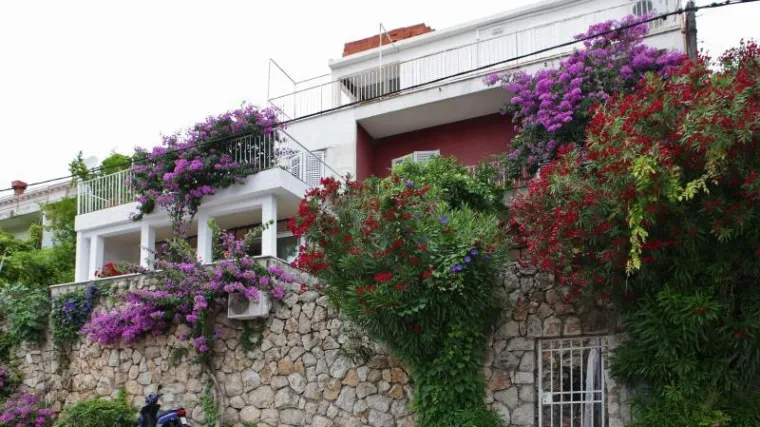 Dubrovčanin premlatio Britanku (25)