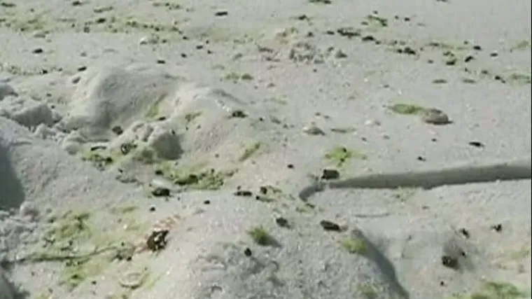 Nafta stigla do Teksasa