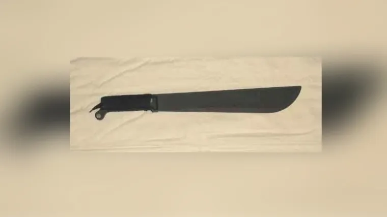 Žestoku svađu i tučnjavu rije&scaron;io mačetom