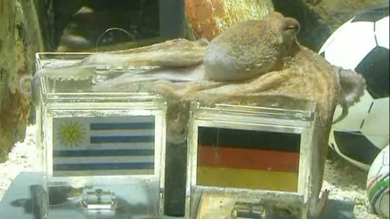 Paul kaže: Španjolskoj zlato, Nijemcima bronca