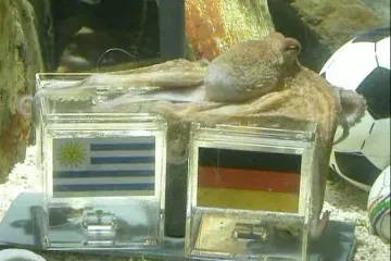 Paul kaže: Španjolskoj zlato, Nijemcima bronca