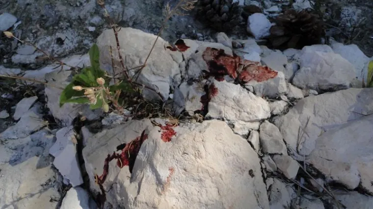 Turisti propali u deset metara duboku provaliju