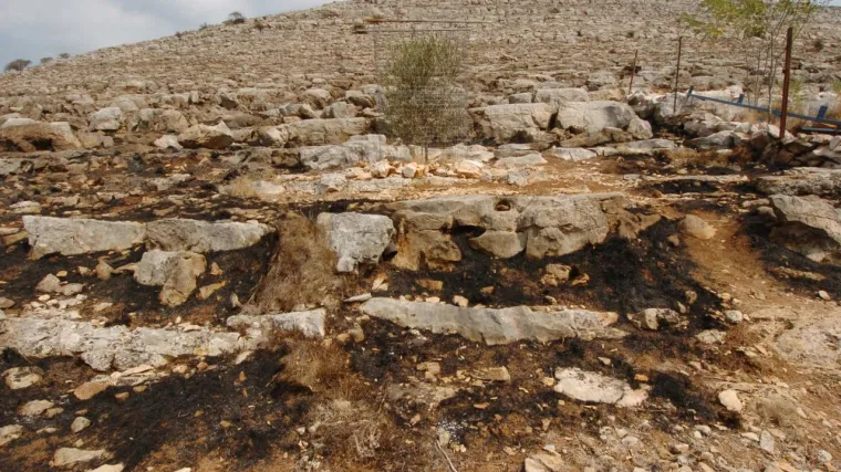 Zaustavljen požar na Kornatu