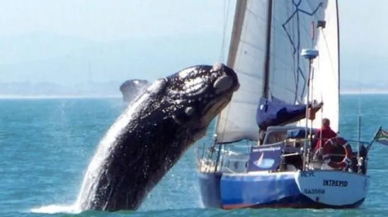 Vidjeli ste fotke? Sada pogledajte i snimku!