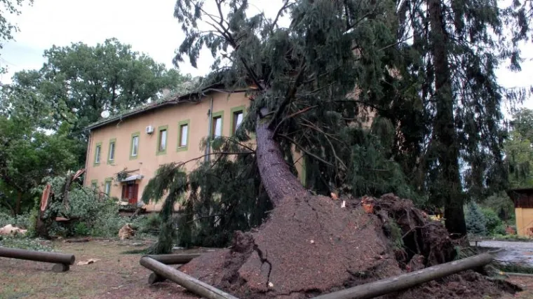 Oluja sru&scaron;ila drveće na krov rehabilitacijskog centra