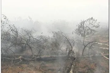 Spaljena zemlja u Rusiji