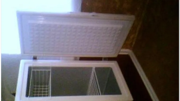 Zamrznuto tijelo kuhara čuvala dvije godine