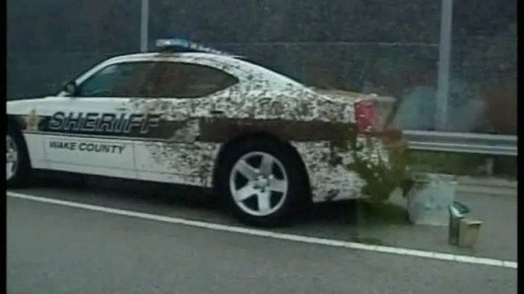 Roj pčela &scaron;erifa držao zatočenog satima