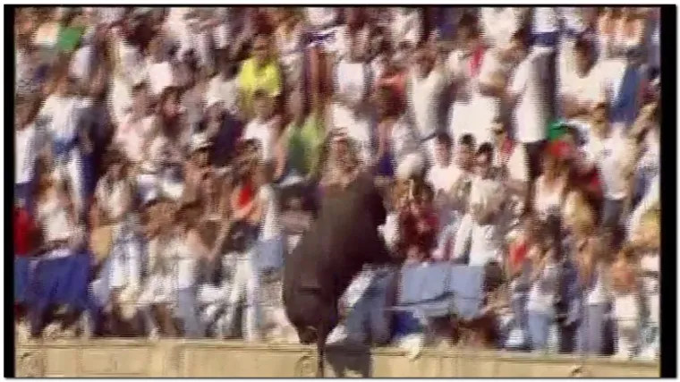 Razjareni bik uletio među gledatelje