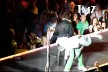 Steven Tyler se potukao na bini i pao među fanove