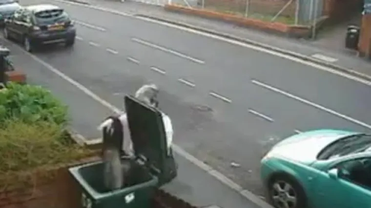 Pomazila macu pa je bacila u kantu za smeće!