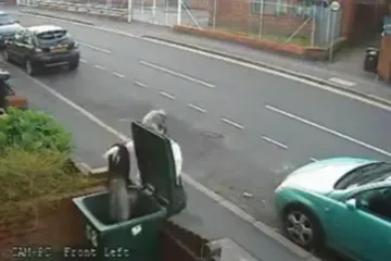 Pomazila macu pa je bacila u kantu za smeće!