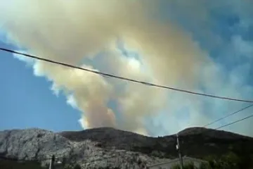 Opet planula borovina na Kozjaku