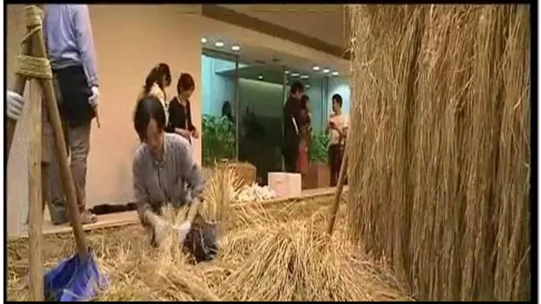 Polje riže u neboderu