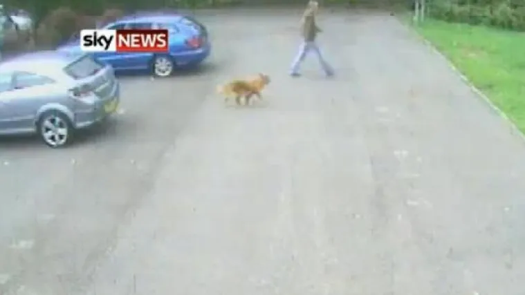 &Scaron;epavog psa izbacio na cestu