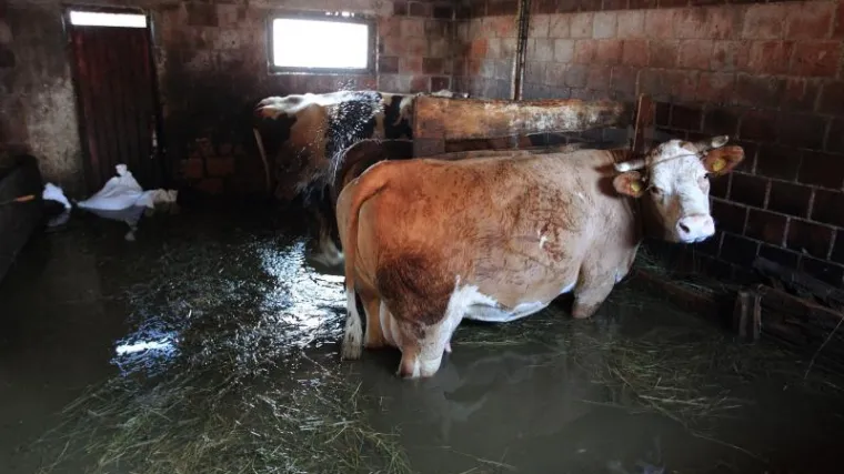 U zaboravljenom selu strahuju od zaraze