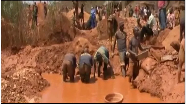 Zlatna žila privukla stotine tragača