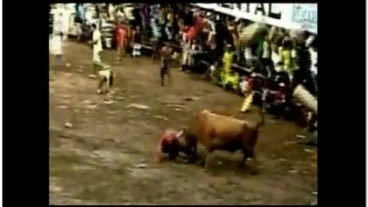 Pomahnitali bik ubio trojicu