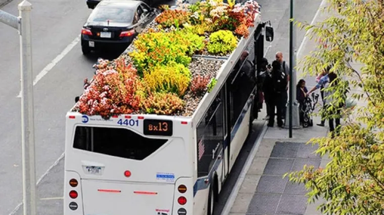 Na krovu autobusa raste cvijeće
