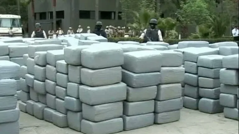 Meksikanci zaplijenili 105 tona marihuane