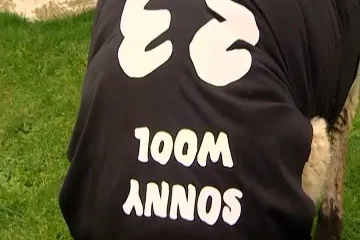 Vidoviti Paul dobio nasljednika