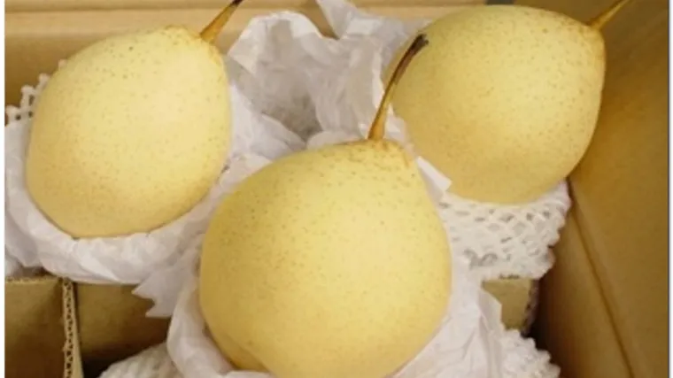 Kru&scaron;ke za Obamu pregledavali pirotehničari