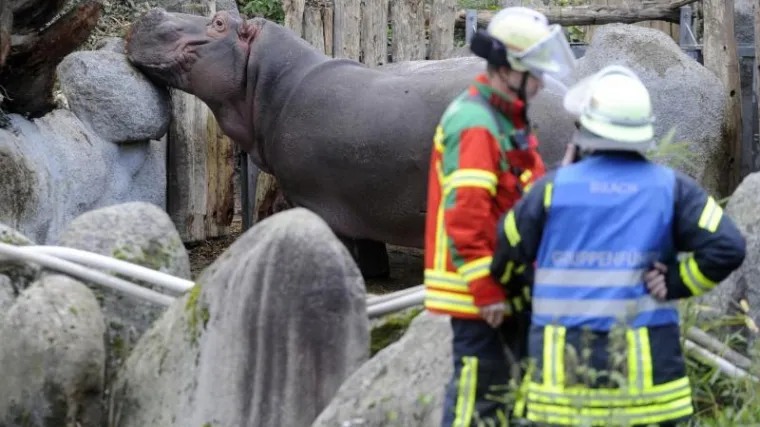 Vatra ubila 26 životinja u ZOO-u
