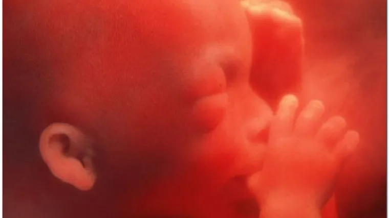 Tisuću fetusa pronađeno u tajlandskom hramu