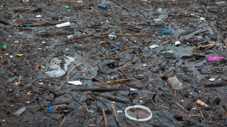 Strvine i smeće odvoze s plaže