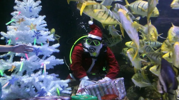 Djed Mraz darivao ribice