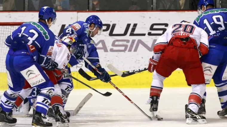 Medvjedi dobili krila