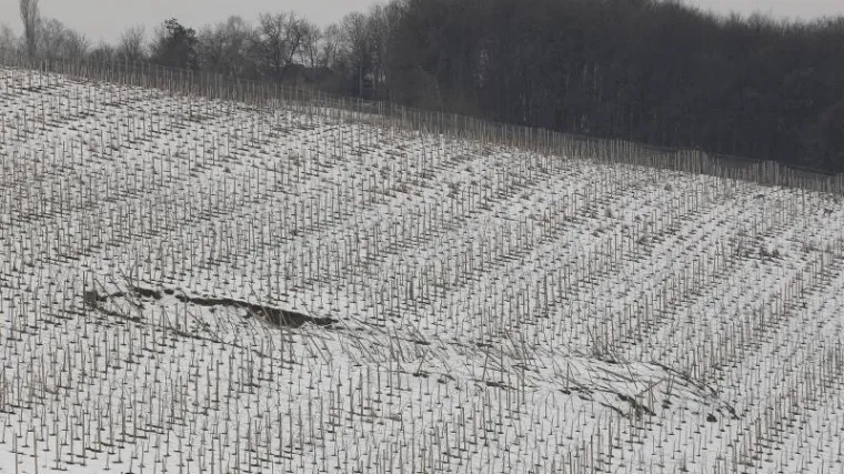 Klizi&scaron;te odnijelo dio vinograda