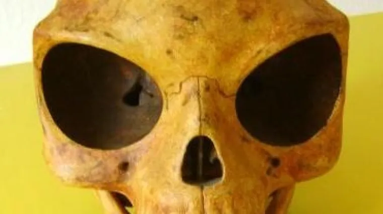 Vanzemaljac s Balkana?