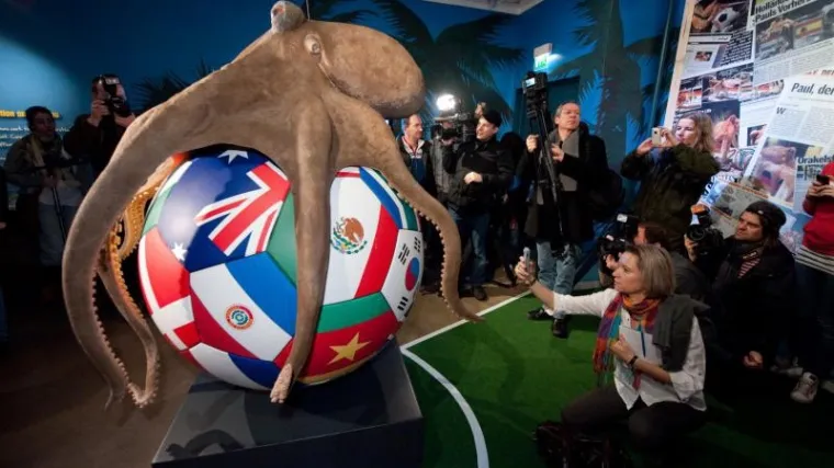 Spomenik hobotnici Paulu