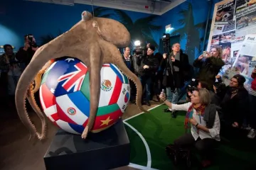 Spomenik hobotnici Paulu