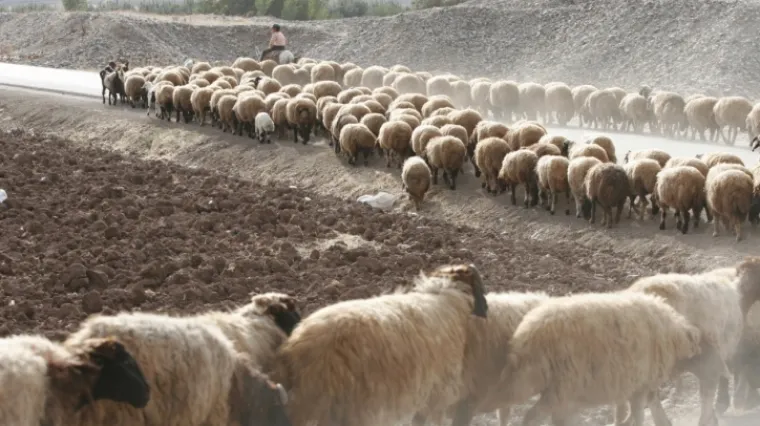 Hrvatska druga na svijetu po nezaposlenosti